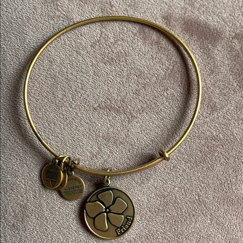 Alex and Ani Gold Friend Bracelet